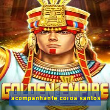 acompanhante coroa santos